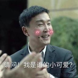 炫妻狂魔表情包,甜蜜秀恩爱，趣味横生